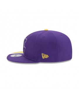 Los Angeles Lakers Lebron James 9FIFTY Snapback-Mütze