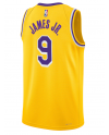 Los Angeles Lakers Nike Icon Swingman-Trikot – Gold – Bronny James – Unisex